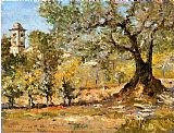 Famous Trees Paintings - Olive Trees Florence